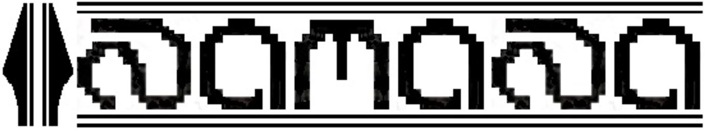 namanainc.com